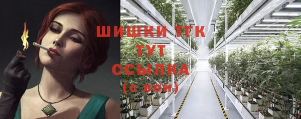 сатива Аркадак