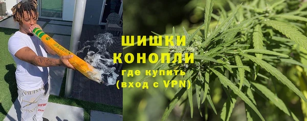 сатива Аркадак