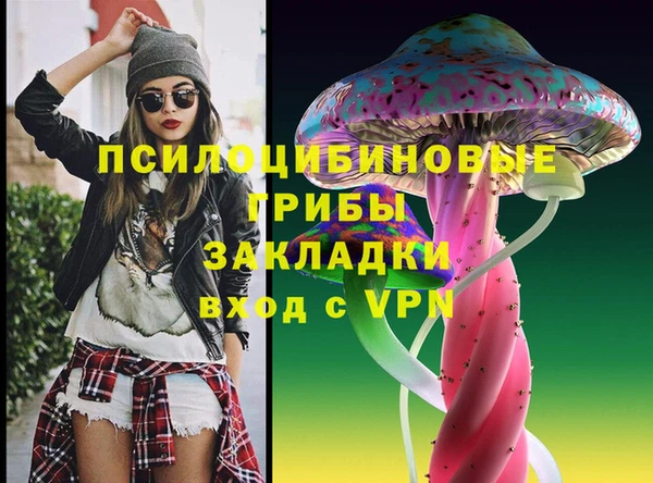 сатива Аркадак
