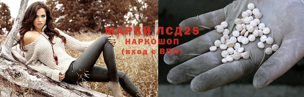 соль ск Алзамай