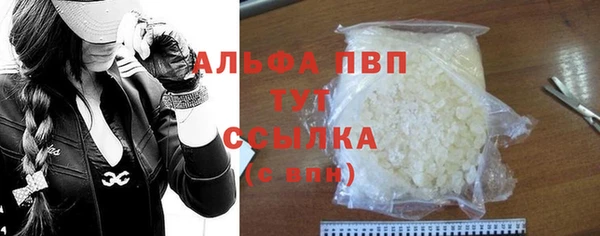 сатива Аркадак