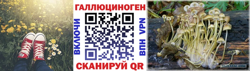Псилоцибиновые грибы мухоморы Тамбов